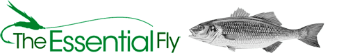 Saltwater Fly Fishing