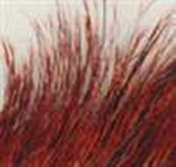 Boar Bristles