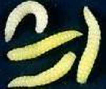 Artificial Body Materials
