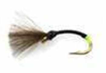 Blank Buster CDC Emergers