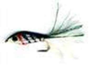 Epoxy Minnows