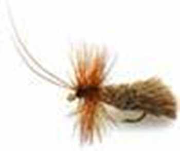 All Fly Fishing Flies