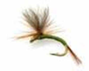 Full Fishing Flies Range