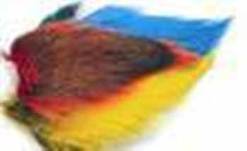 Bucktails