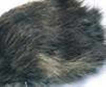 Musk Rat Fur