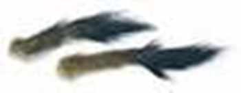 Stoat Tails