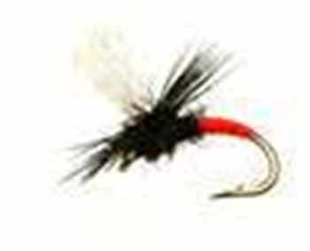 Fly Fishing Flies