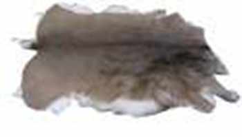 Bulk Materials