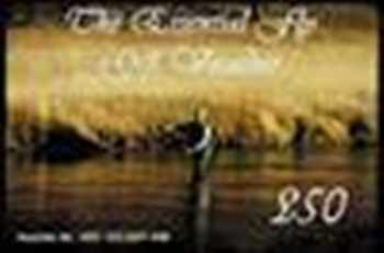 Gift Vouchers