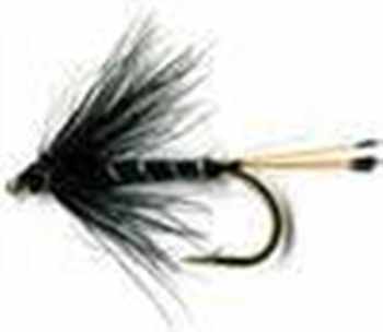 Hackled Wet Flies