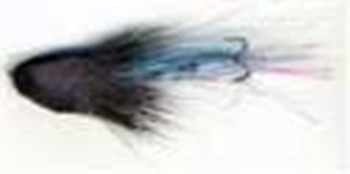 Surface Wake Flies