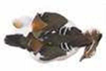 Mandarin