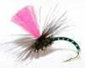 North Country Dry Flies
