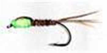 Pheasant Tail Nymphs