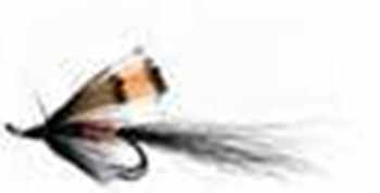 Salmon Flies
