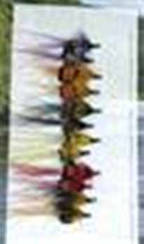 Salmon Fly Selection Packs