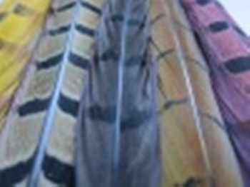 Semperfli Fly Tying Feathers