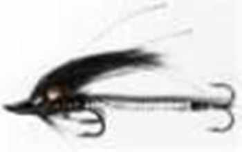 Snake Flies