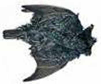 Starling