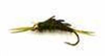 Montana & Stoneflies
