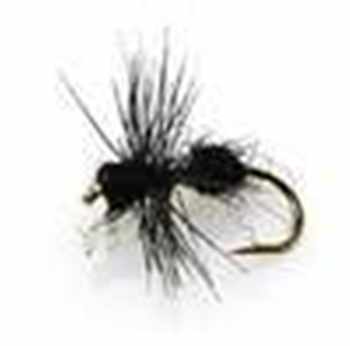 Terrestrial Flies