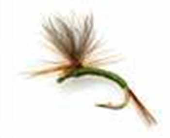 Trout Fly Fishing Dry Flies