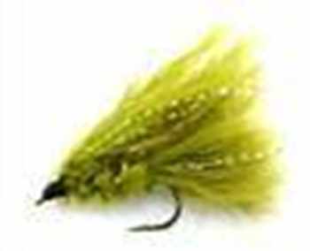 Trout Fly Fishing Competition Flies