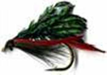 Trout Fly Fishing Wet Flies