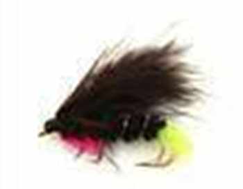 Trout Lures & Streamers