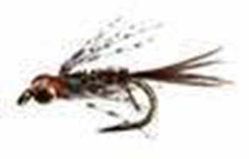 Tungsten Bead Flies