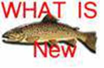 LATEST FLY FISHING TACKLE