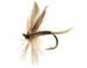 Winged Dry Flies