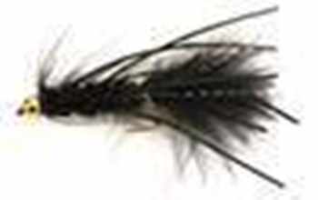 Woolly Bugger Flies