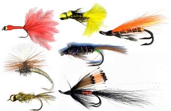 Fly Fishing Flies Shop