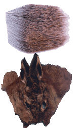 fly tying materials