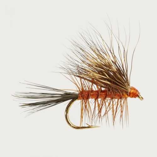 The Essential Fly Buck Caddis Dark Fishing Fly