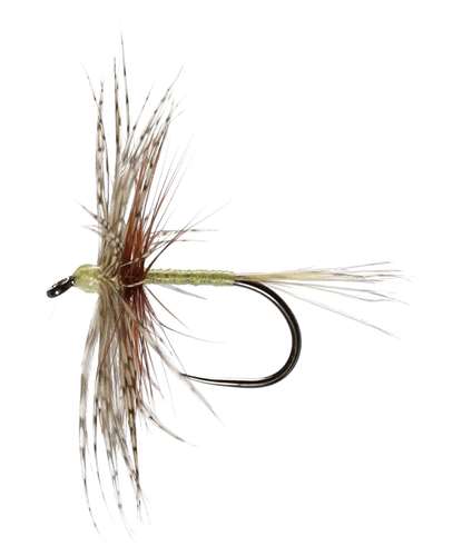 Caledonia Flies Olive Jingler Hackled Dry Barbless #12 Fishing Fly