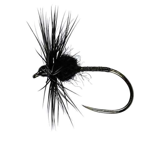 Caledonia Flies Black Spider Hackled Dry Barbless #16 Fishing Fly