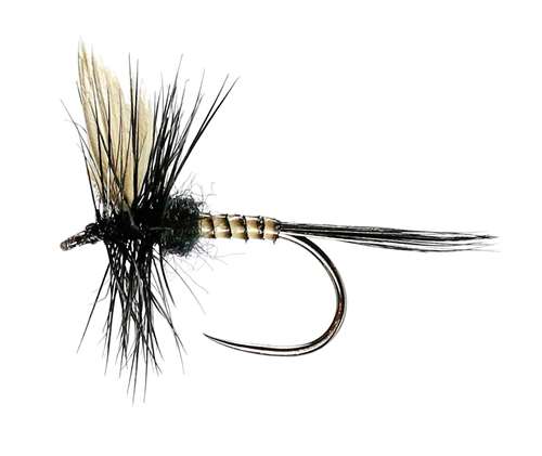 Caledonia Flies Black Gnat Winged Dry Barbless #16 Fishing Fly