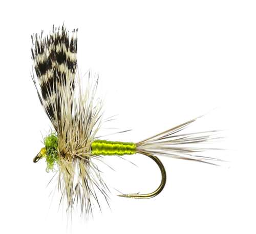 Caledonia Flies Adams Thorax Winged Dry Barbless #14 Fishing Fly
