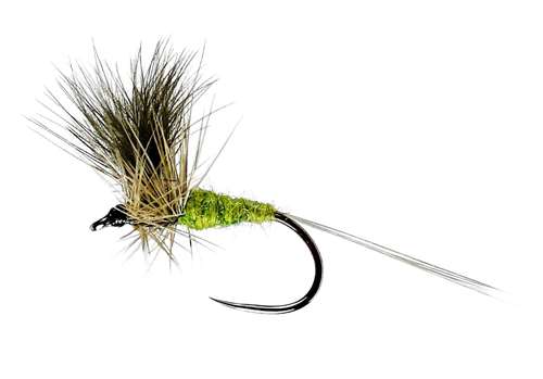 Caledonia Flies Bwo Cdc Winged Dry Barbless #14 Fishing Fly