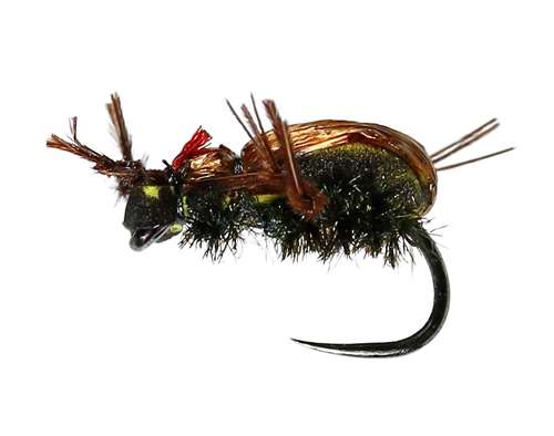 Caledonia Flies Brown Beetle Dry Barbless #12 Fishing Fly