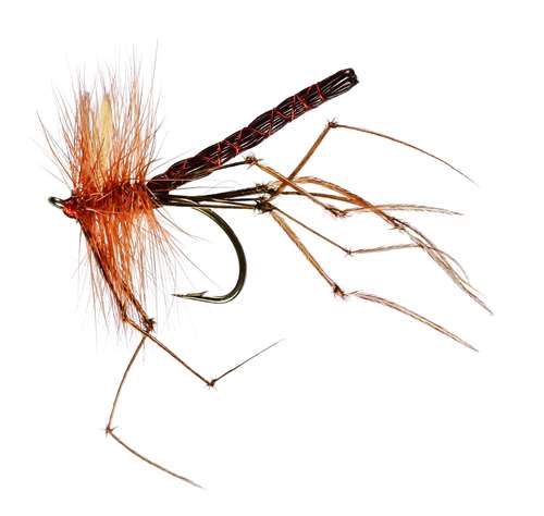 Caledonia Flies Detached Daddy #12 Fishing Fly Barbed