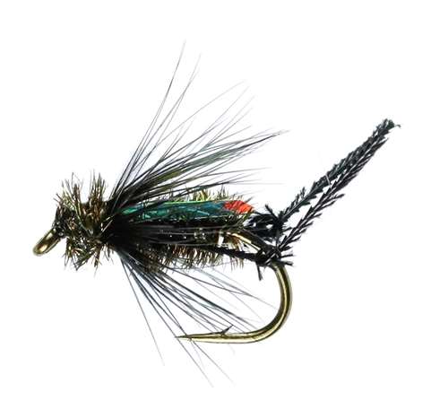 Caledonia Flies Hawthorn Wet Fly #10 Fishing Fly Barbed Dry Fly