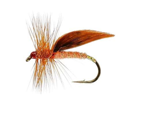 Caledonia Flies Cinnamon Sedge #12 Fishing Fly Barbed Caddis Or Sedge Fly