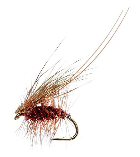 Caledonia Flies Irresistible Claret Murrough Sedge #12 Fishing Fly