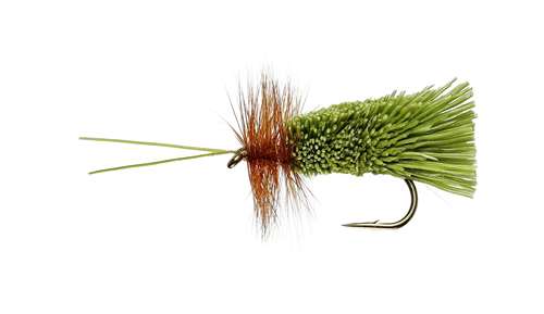 Caledonia Flies Olive G & H Sedge #12 Fishing Fly Barbed Caddis Or Sedge Fly