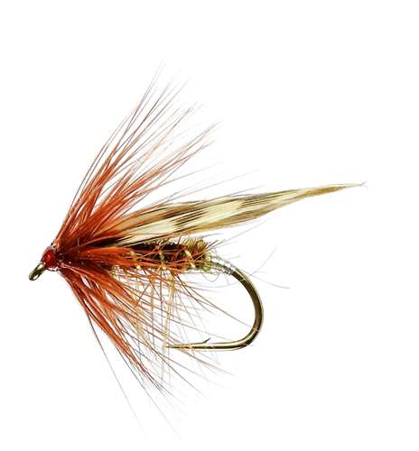 Caledonia Flies Green Peter Sedge #12 Fishing Fly Barbed Caddis Or Sedge Fly