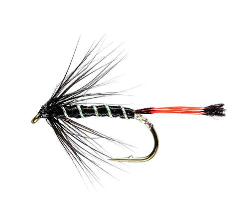 Caledonia Flies Black Pennell Hackled Wet #14 Fishing Fly