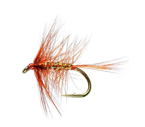 Caledonia Flies Wickhams Spider Hackled Wet #12 Fishing Fly